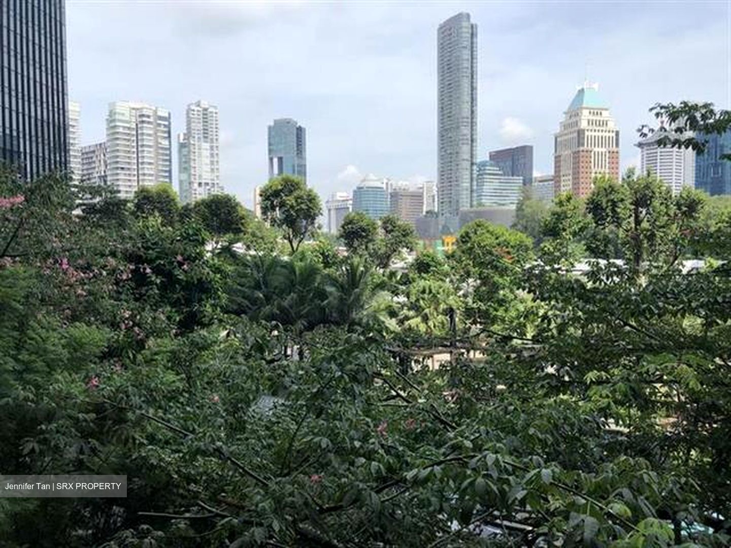 OUE Twin Peaks (D9), Condominium #488890461